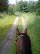 Reitwege