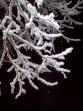 Winter-Impressionen